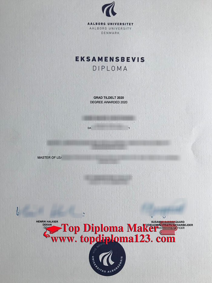 Aalborg University (AAU) diploma, Aalborg University degree