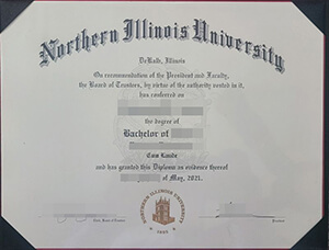 How to buy realistic Northern Illinois University (