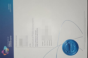 Institute of Public Accountants certificate sample,