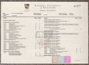 Getting A Fake NUS Transcript Your Way To Success