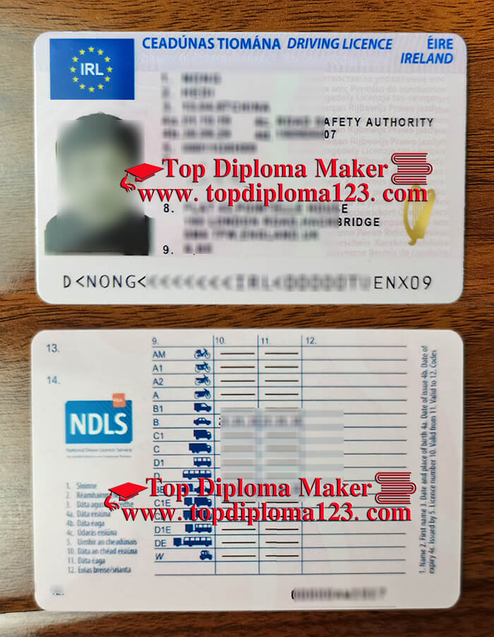 IRL driver’s License