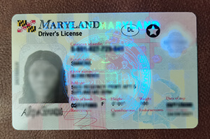 How to buy a fake Maryland Driver’s License with 
