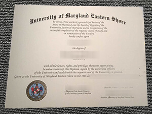 How to buy a realistic University of Maryland Easte