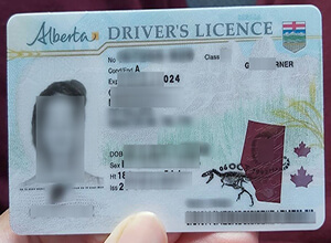 Fake Alberta driver's licence, Buy fake driver's li