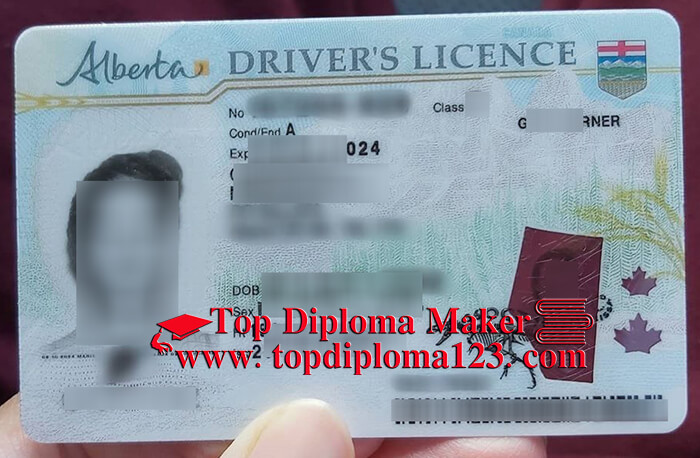 Fake Alberta driver's licence