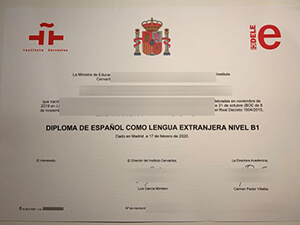 How Do You Get A Fake DELE B1/B2 Level diploma From