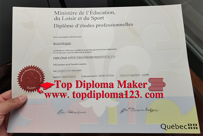 Diplôme d'études professionnelles