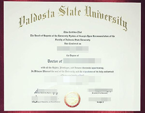 Where to Order a Realistic Valdosta State Universit