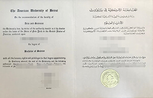Buy a fake AUB diploma, Order a American University