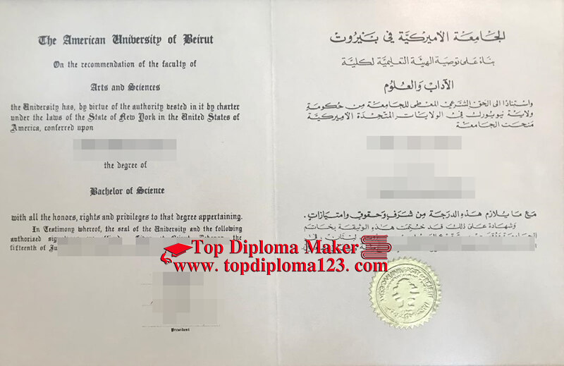 American University of Beirut  diploma 