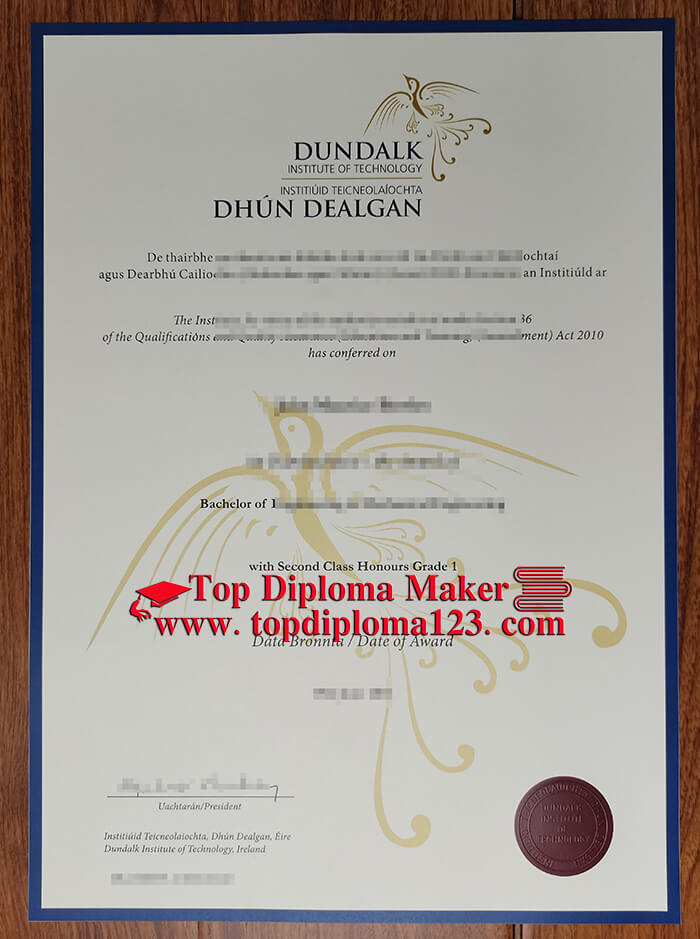 Dundalk Institute of Technology diploma