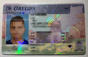 Real Oregon Driver's License for sale