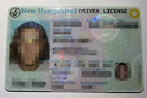 How long to get a fake New Hampshire Driver's Licen