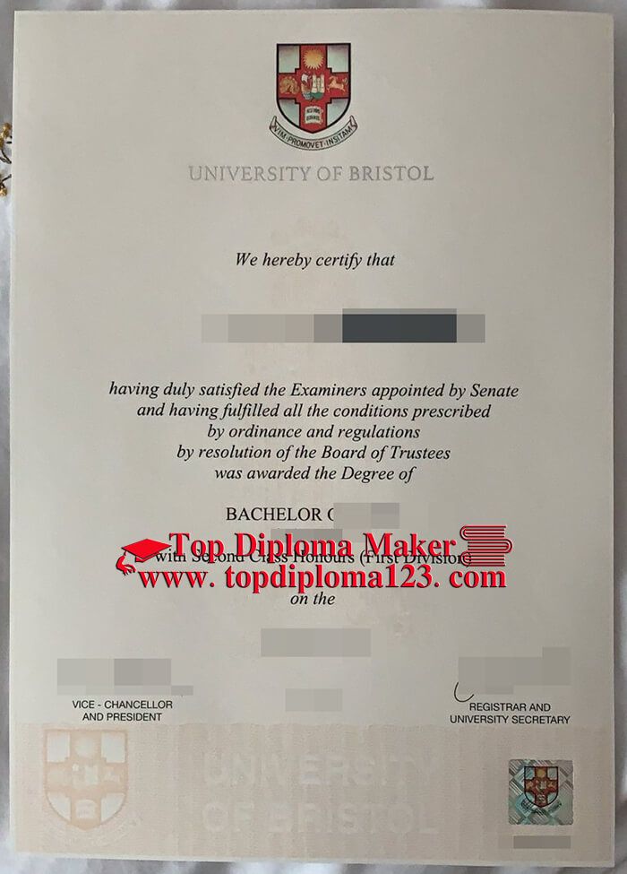 University of Bristol degree