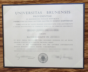 Purchase realistic Universitas Brunensis diploma in