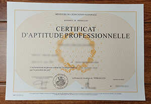 How to get a fake Académie de Versailles diploma c