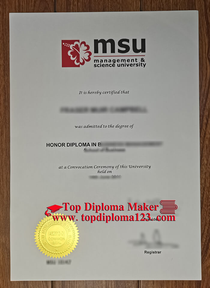 MSU Malaysia diploma