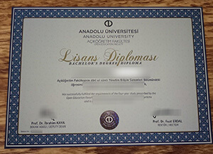 Where to obtin a fake Anadolu University diploma?