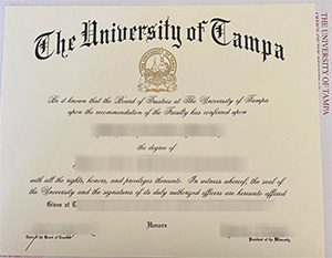 How long to get a realistic University of Tampa dip