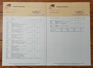 How to buy your City University of Hong Kong transc