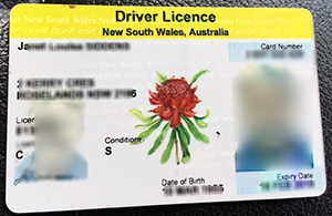 Order a Australian NSW driving licence, buy a fake 