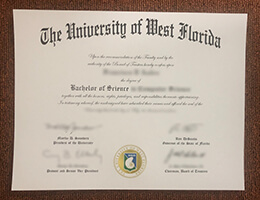 How long to get a fake West Florida diploma, Buy a 
