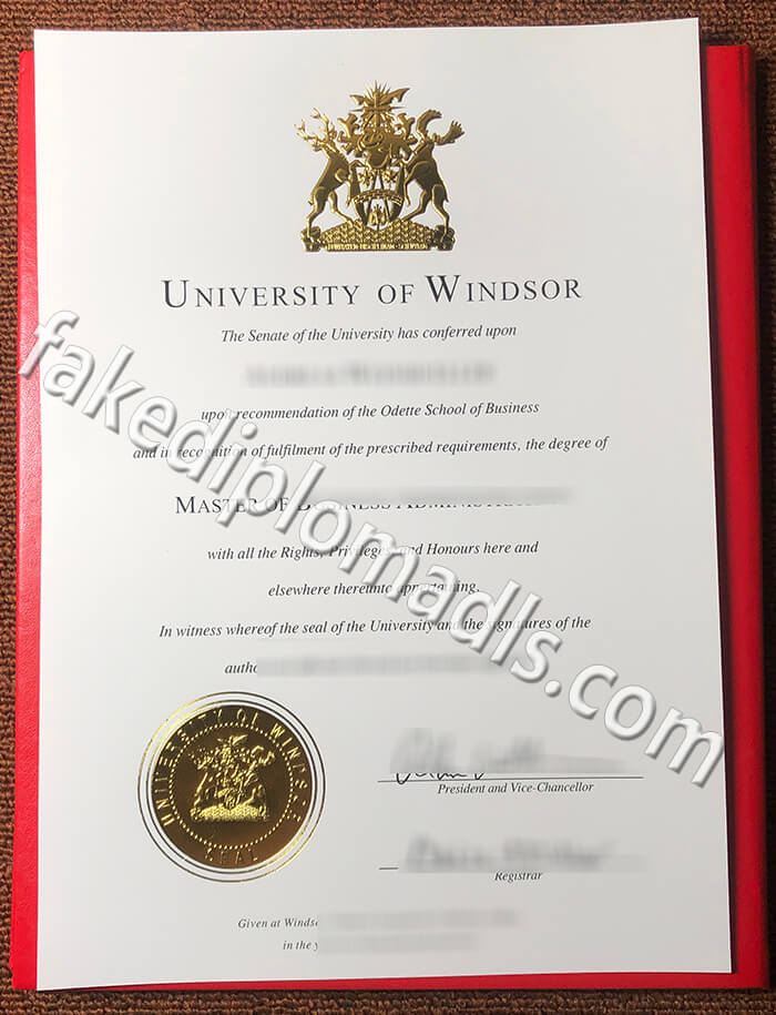 University of Windsor degree