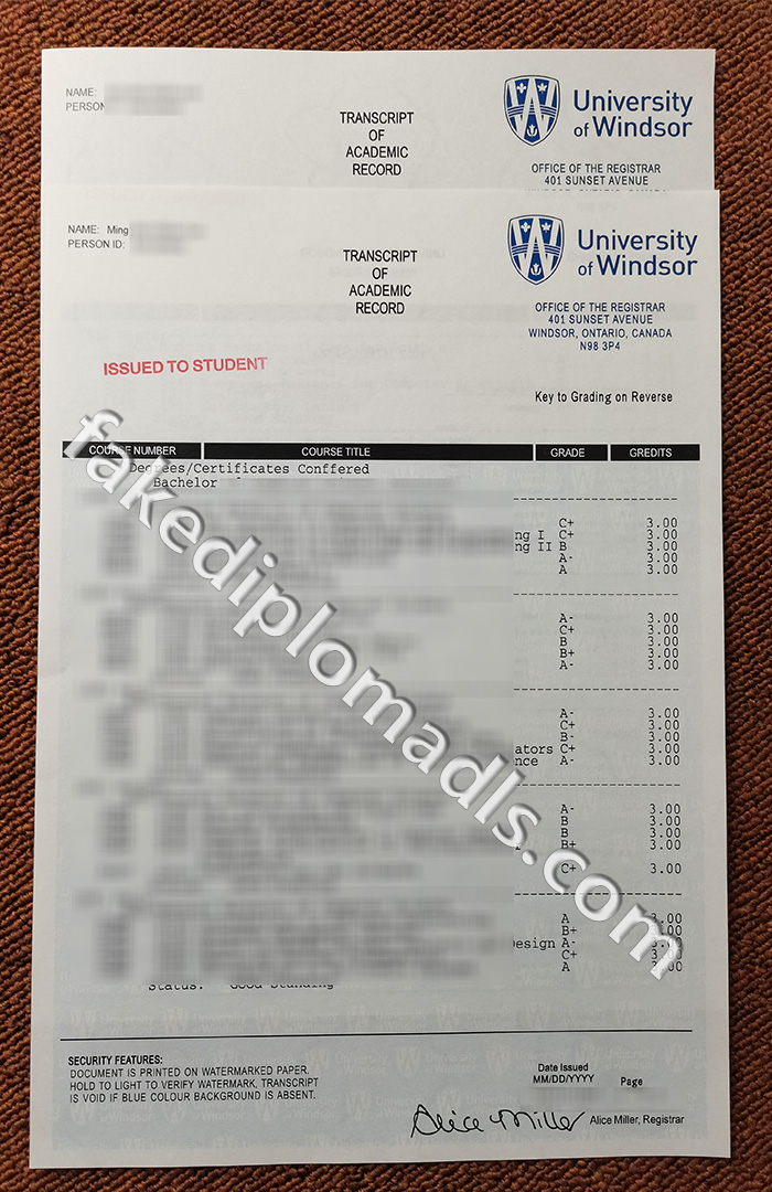 University of Windsor transcript