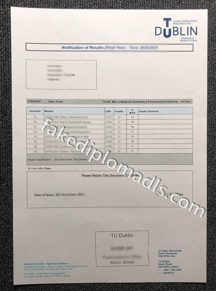 Technological University Dublin transcript 