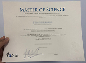 Buying a diploma, How to buy fake Delft University 