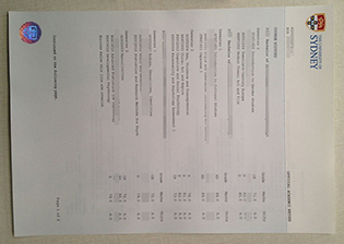 How to get the university of Sydney official transc
